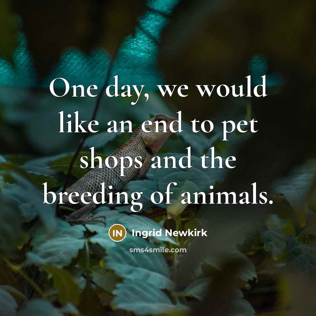 “One day, we would like an end to pet shops…” quote by Ingrid Newkirk