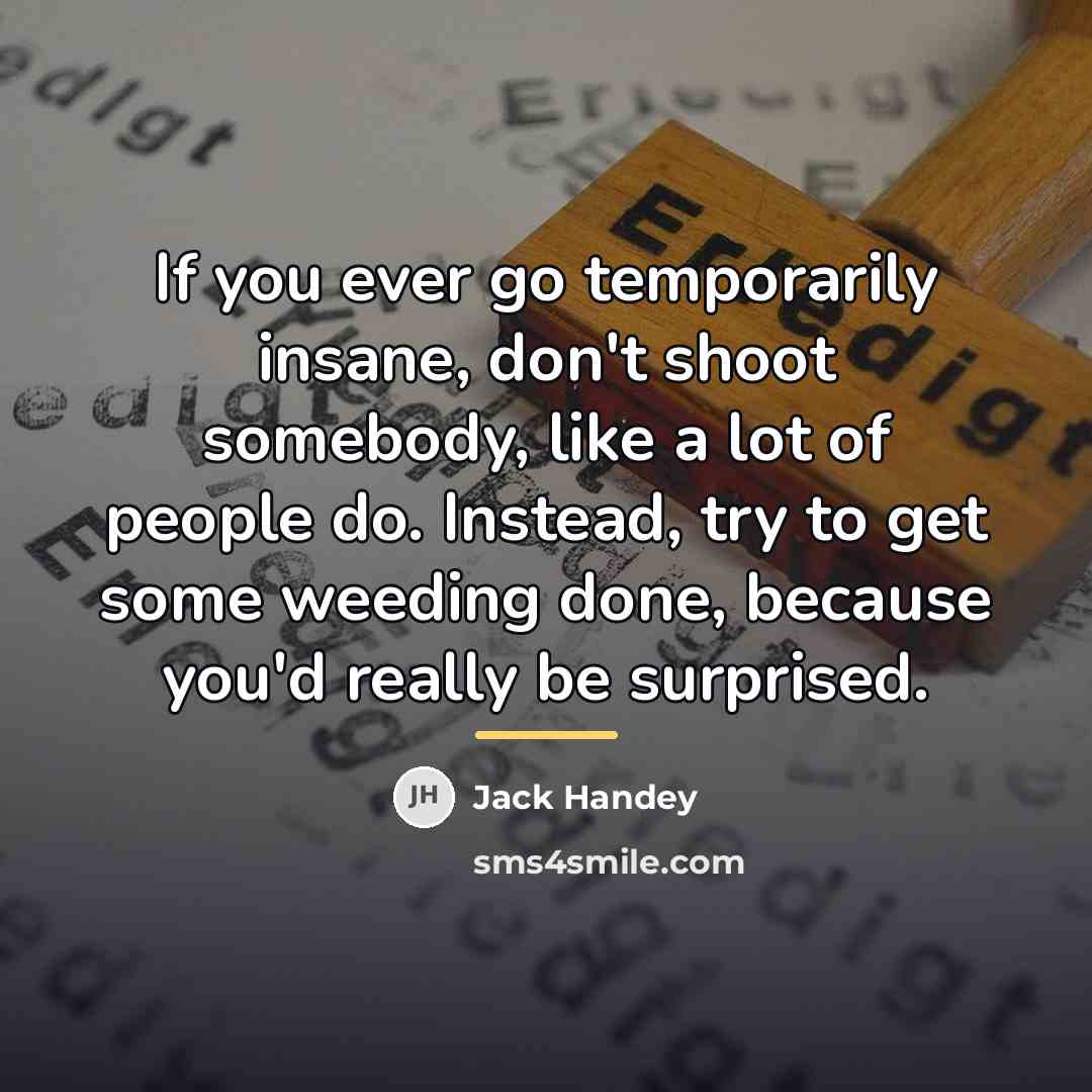 “If you ever go temporarily insane, don't shoot somebody, like…” quote by Jack Handey
