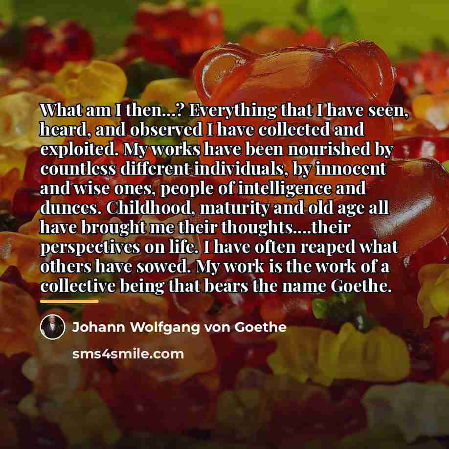 “What am I then...? Everything that I have seen, heard,…” quote by Johann Wolfgang von Goethe