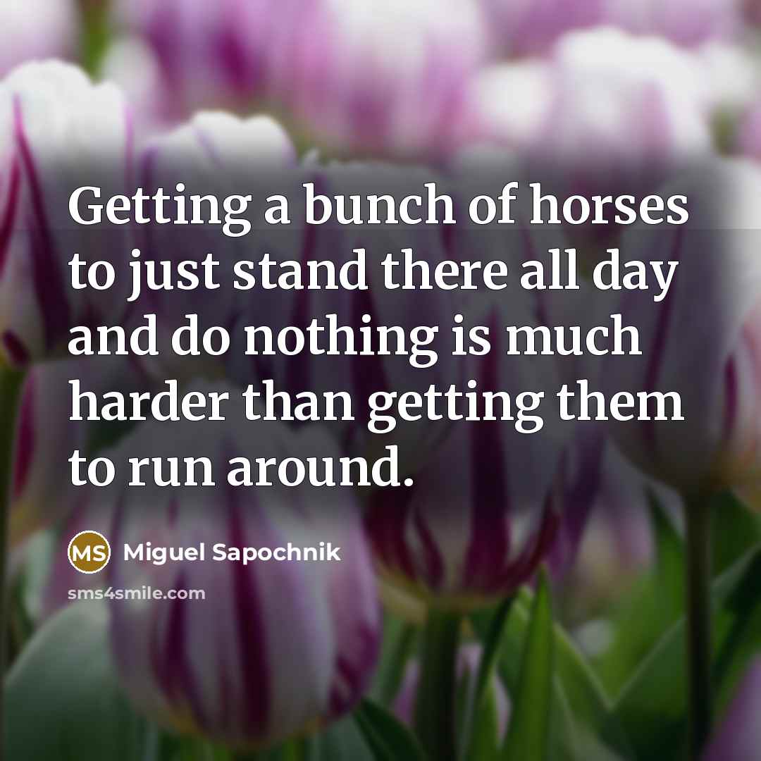 “Getting a bunch of horses to just stand there all…” quote by Miguel Sapochnik