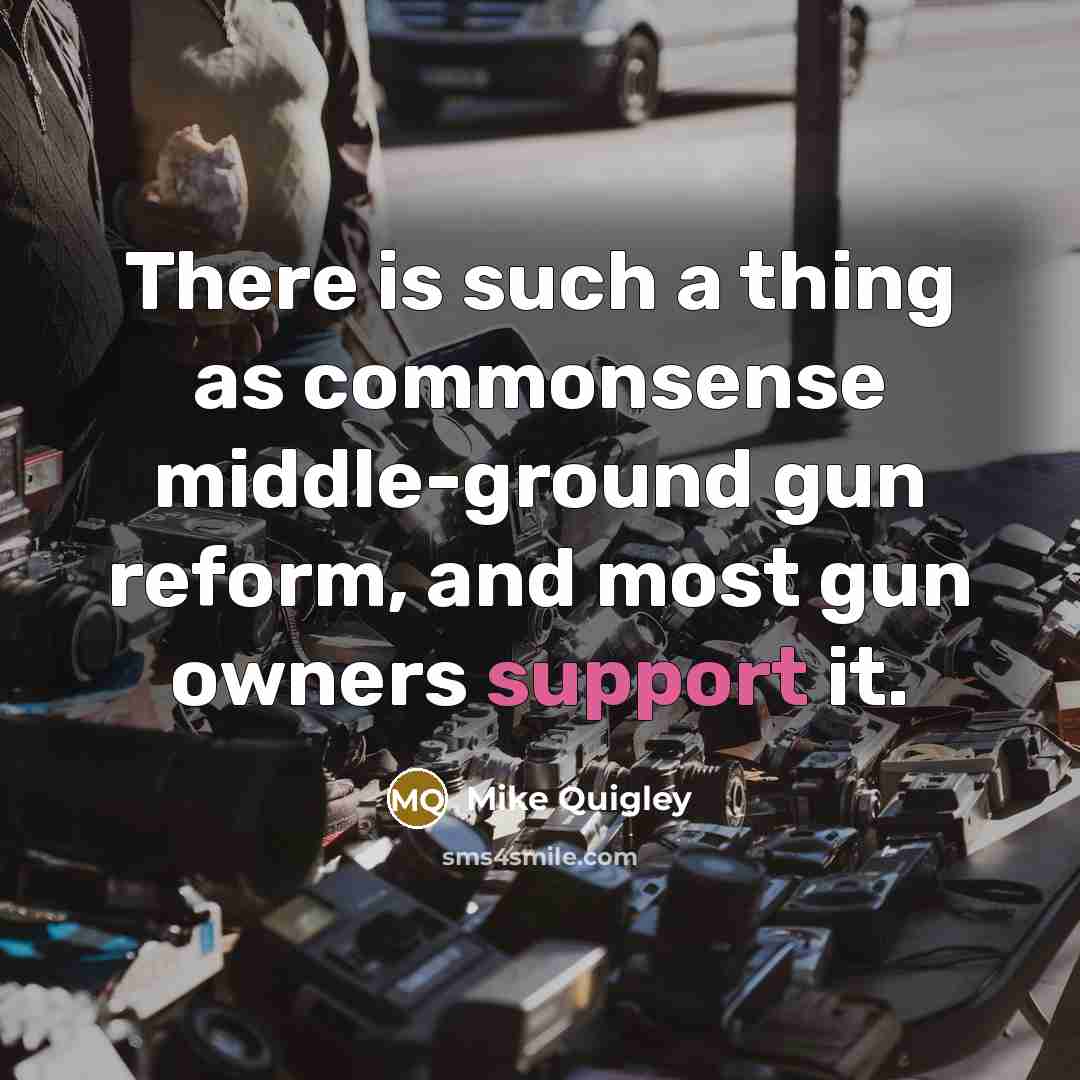 “There is such a thing as commonsense middle-ground gun reform, and most gun owners support it.” quote by Mike Quigley