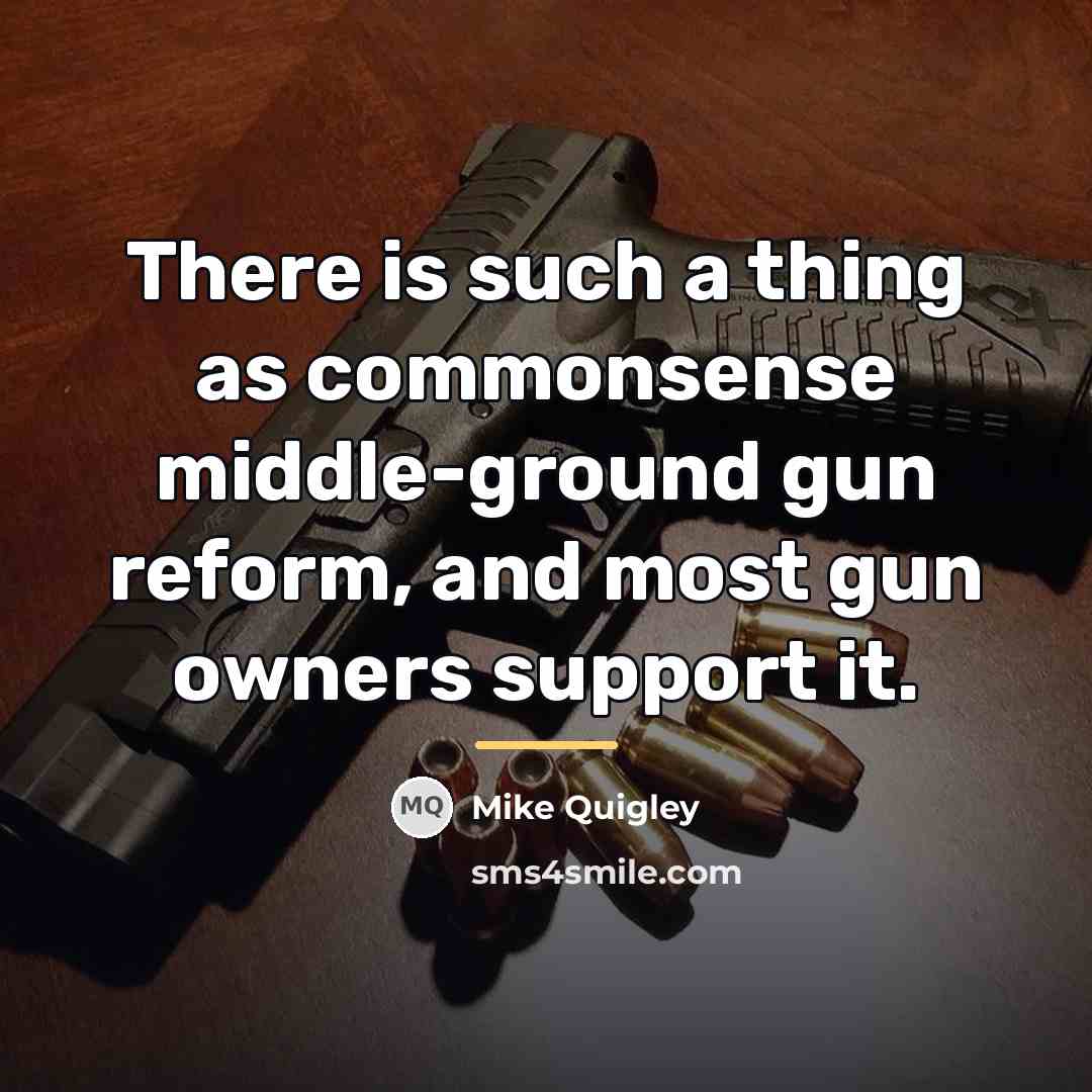 “There is such a thing as commonsense middle-ground gun reform,…” quote by Mike Quigley
