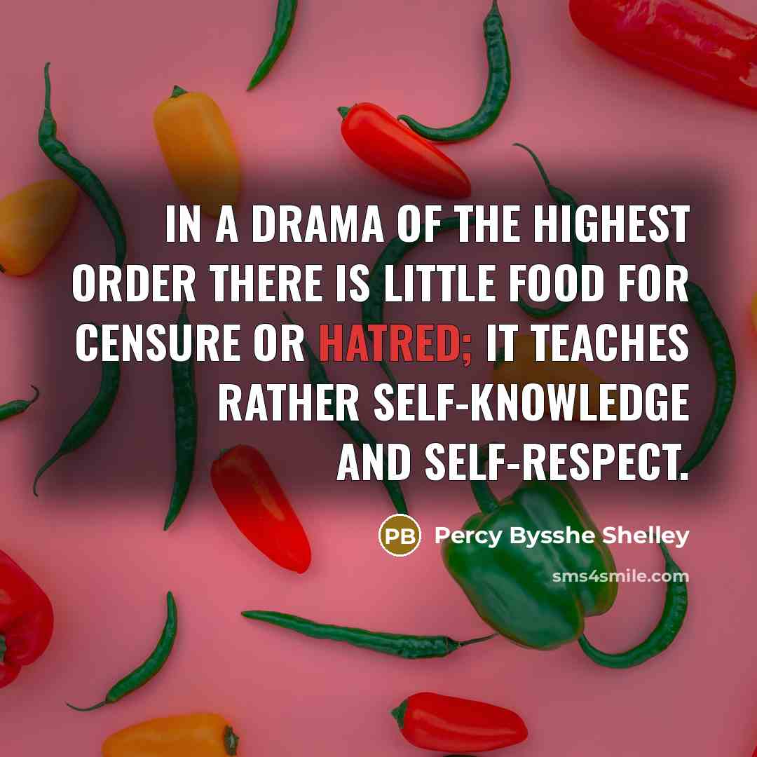 “In a drama of the highest order there is little…” quote by Percy Bysshe Shelley