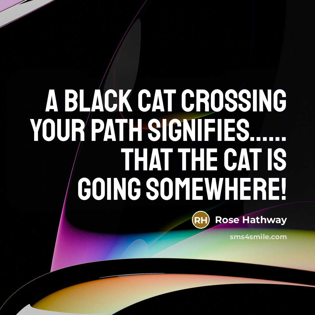 “A black cat crossing your path signifies............. that the cat…” quote by Rose Hathway