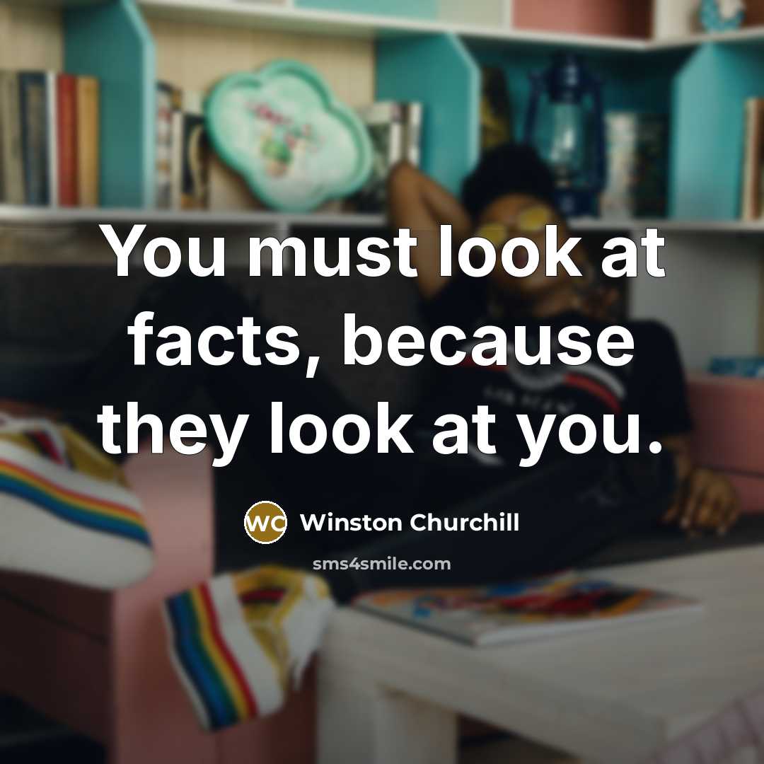 “You must look at facts, because they look at you.…” quote by Winston Churchill