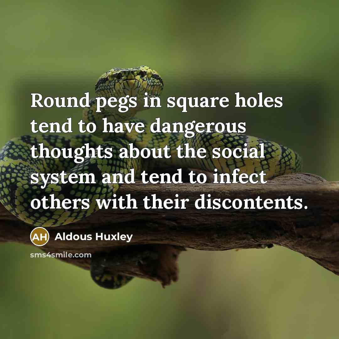 “Round pegs in square holes tend to have dangerous thoughts…” quote by Aldous Huxley