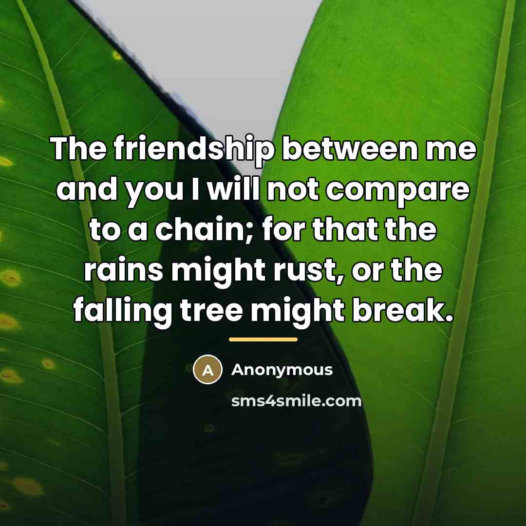 “The friendship between me and you I will not compare…” quote by Anonymous