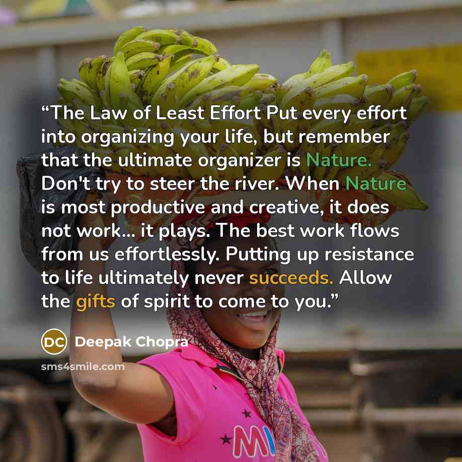 “The Law of Least Effort Put every effort into organizing your life, but remember that the ultimate organizer is Nature. Don't try to steer the river. When Nature is most productive and creative, it does not work... it plays. The best work flows from us effortlessly. Putting up resistance to life…” quote by Deepak Chopra