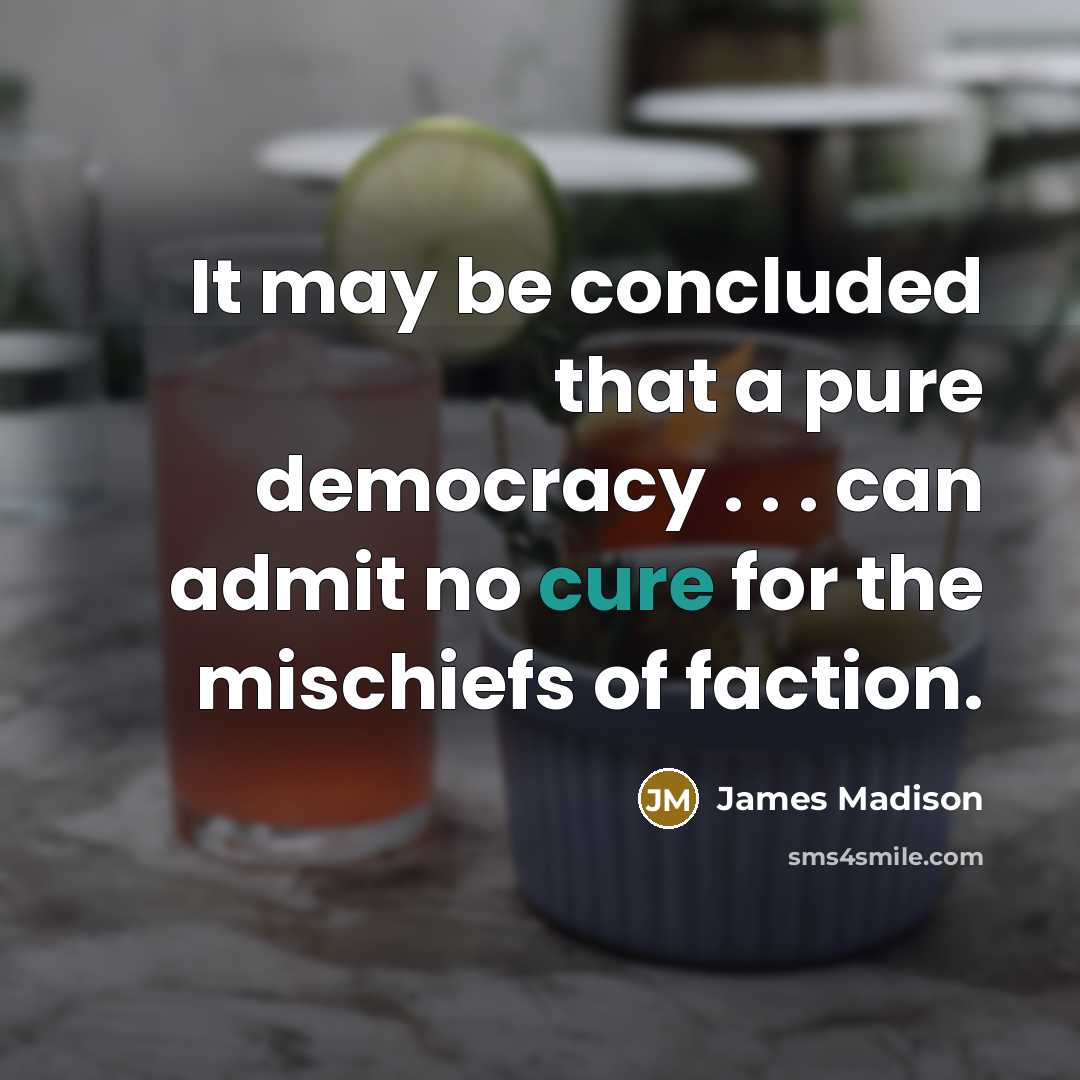 “It may be concluded that a pure democracy . .…” quote by James Madison