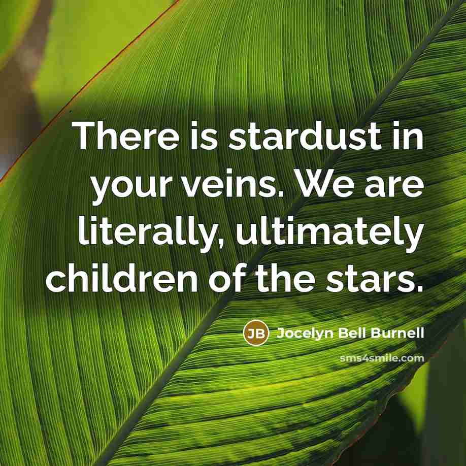 “There is stardust in your veins. We are literally, ultimately…” quote by Jocelyn Bell Burnell