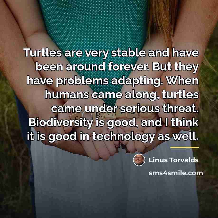 “Turtles are very stable and have been around forever. But…” quote by Linus Torvalds