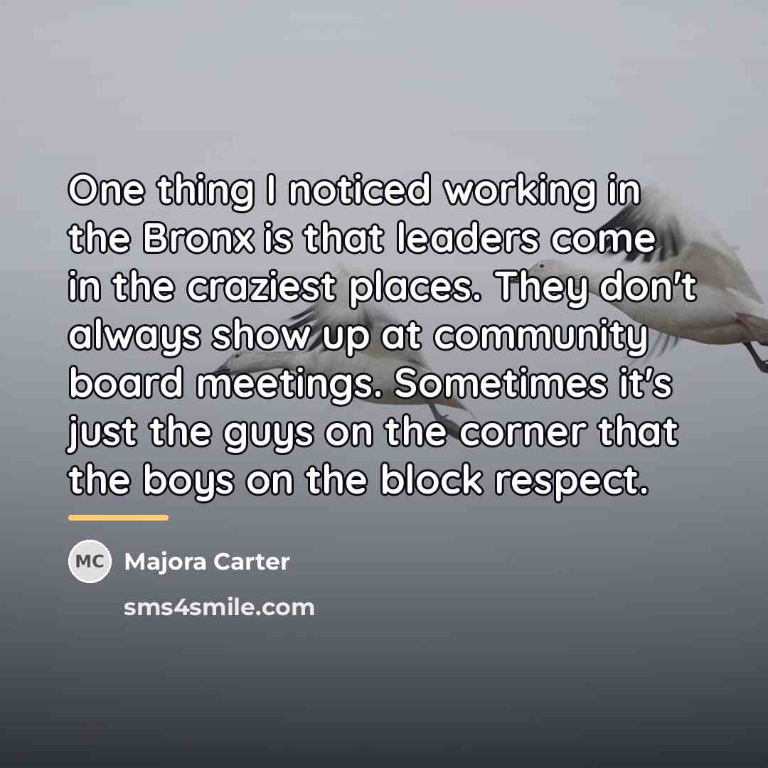 “One thing I noticed working in the Bronx is that…” quote by Majora Carter