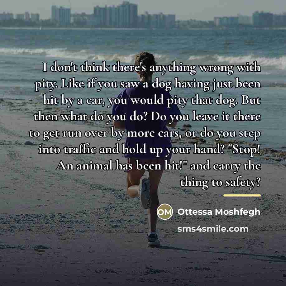 “I don't think there's anything wrong with pity. Like if…” quote by Ottessa Moshfegh