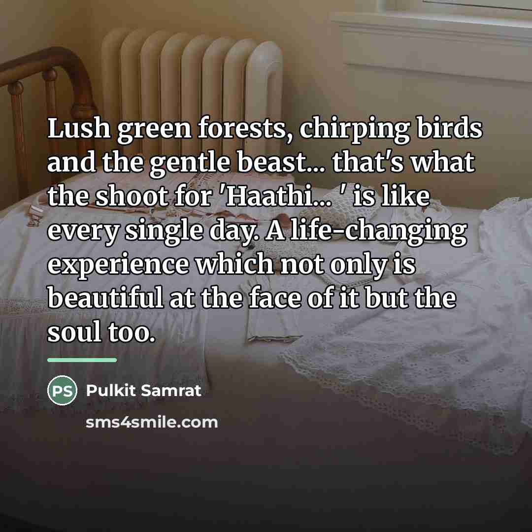 “Lush green forests, chirping birds and the gentle beast... that's…” quote by Pulkit Samrat