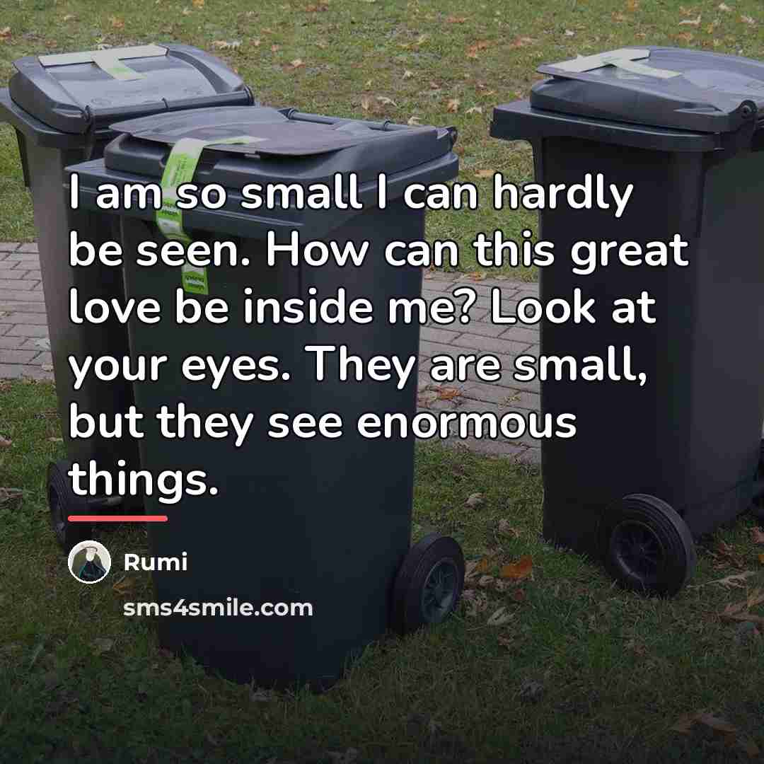 “I am so small I can hardly be seen. How…” quote by Rumi