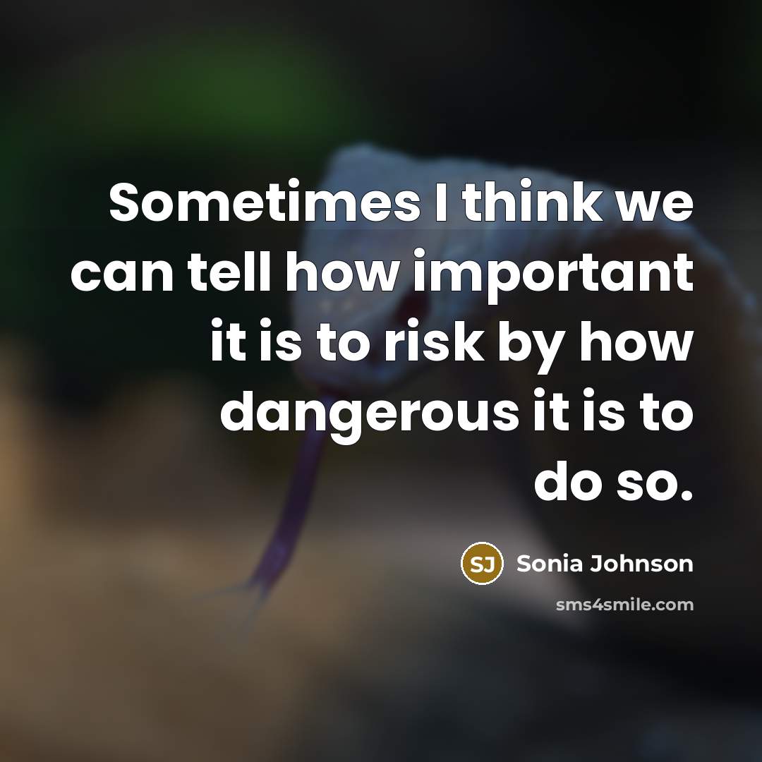 “Sometimes I think we can tell how important it is…” quote by Sonia Johnson
