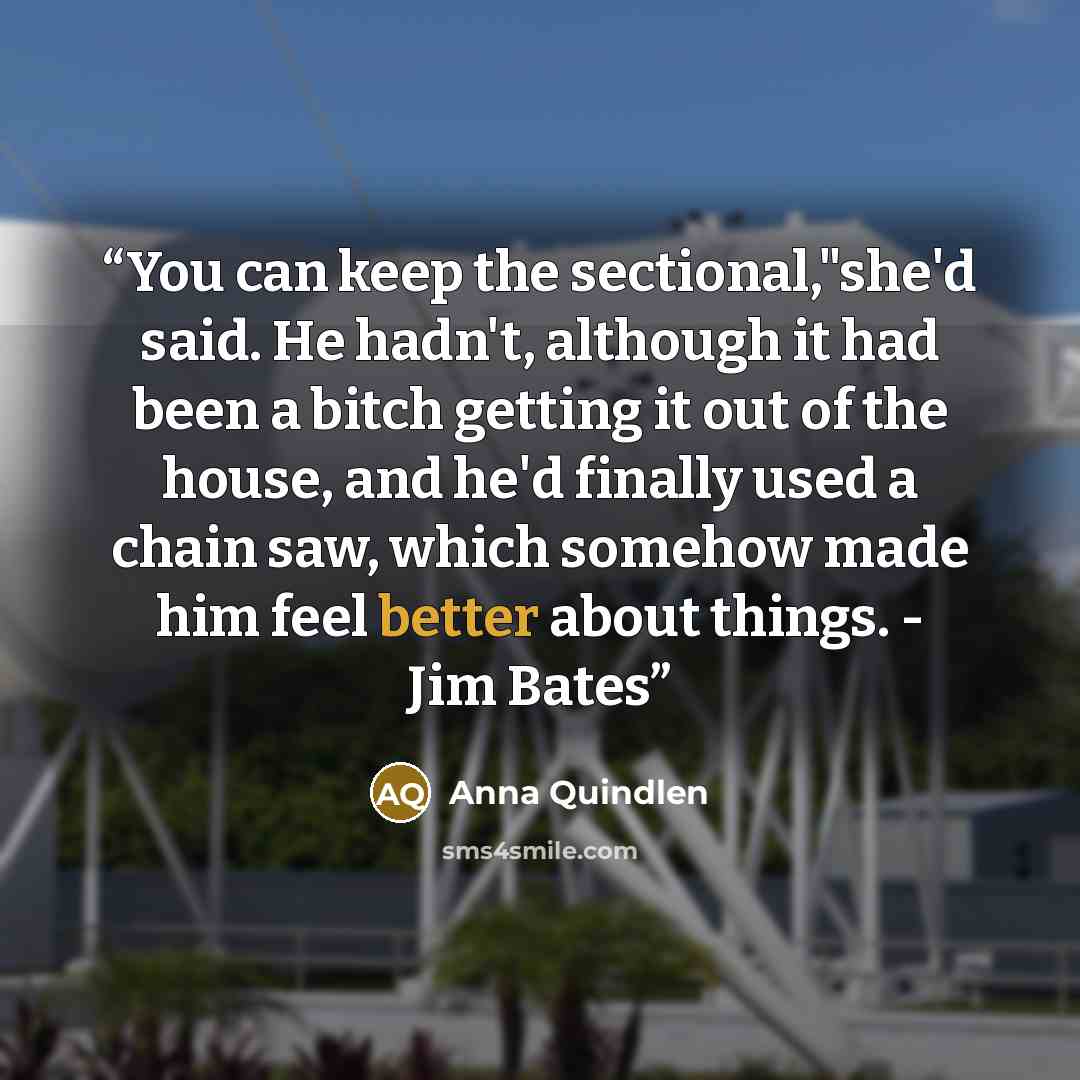 “You can keep the sectional,"she'd said. He hadn't, although it had been a bitch getting it out of the house, and he'd finally used a chain saw, which somehow made him feel better about things. - Jim Bates” quote by Anna Quindlen