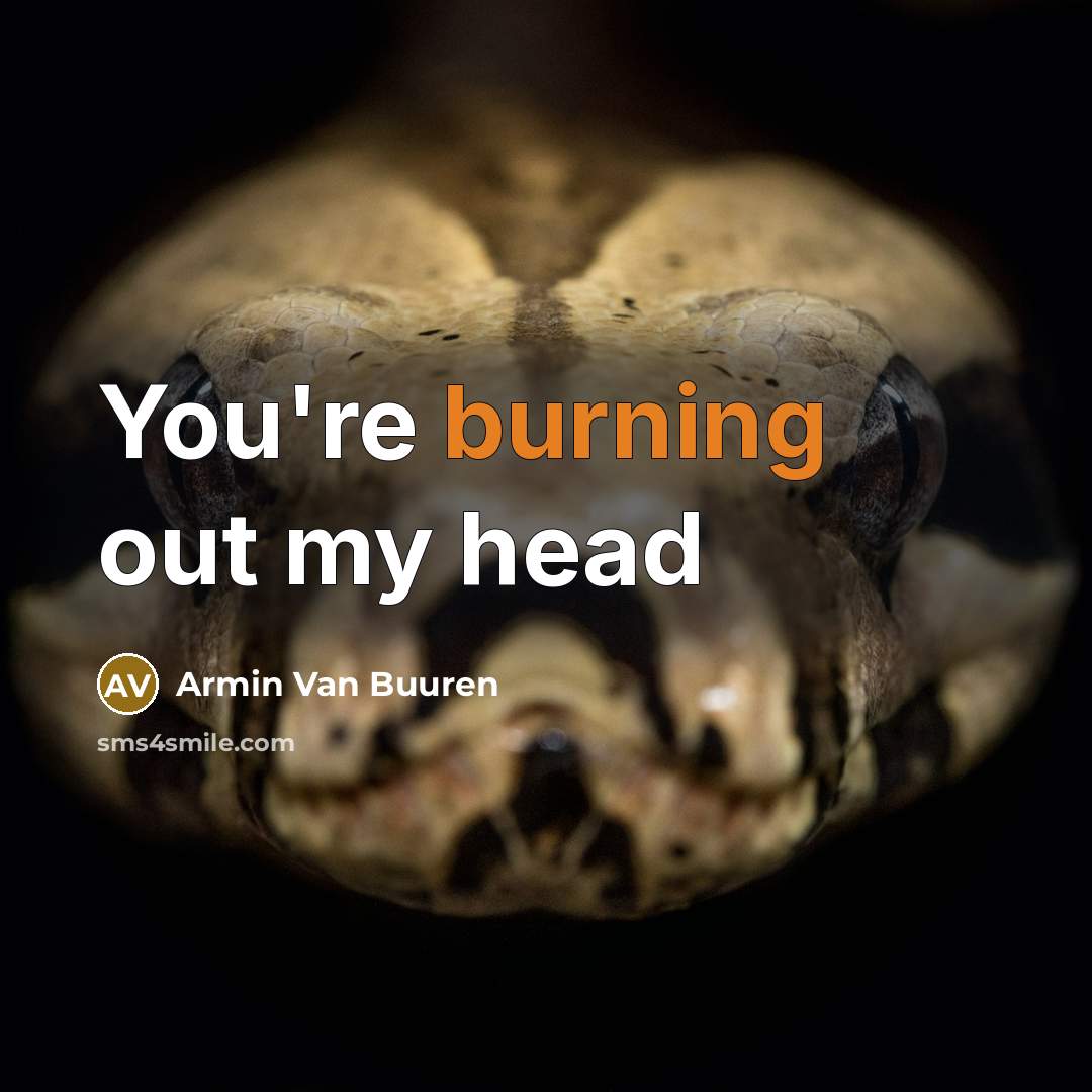 “You're burning out my head…” quote by Armin Van Buuren