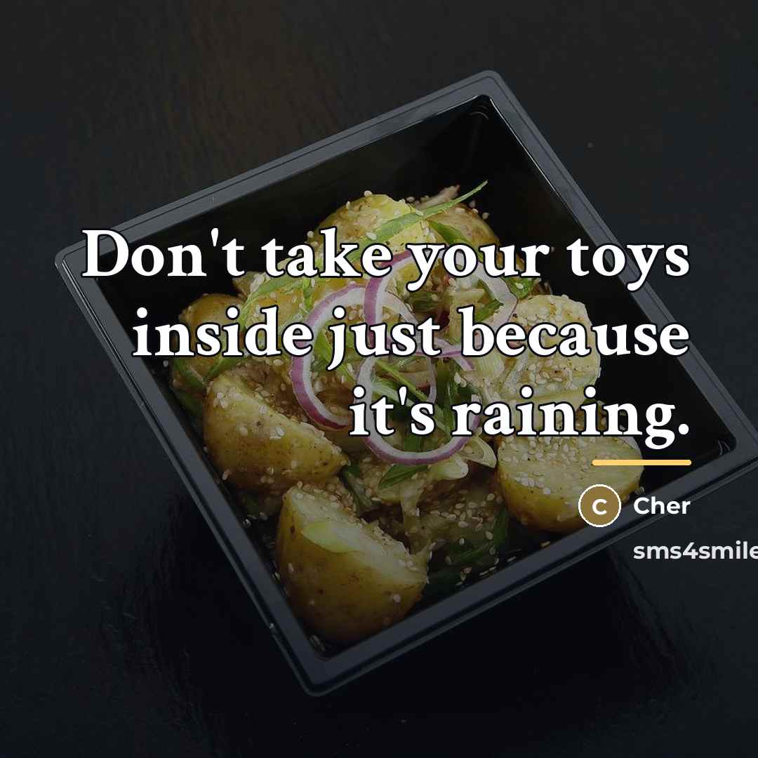 “Don't take your toys inside just because it's raining.…” quote by Cher