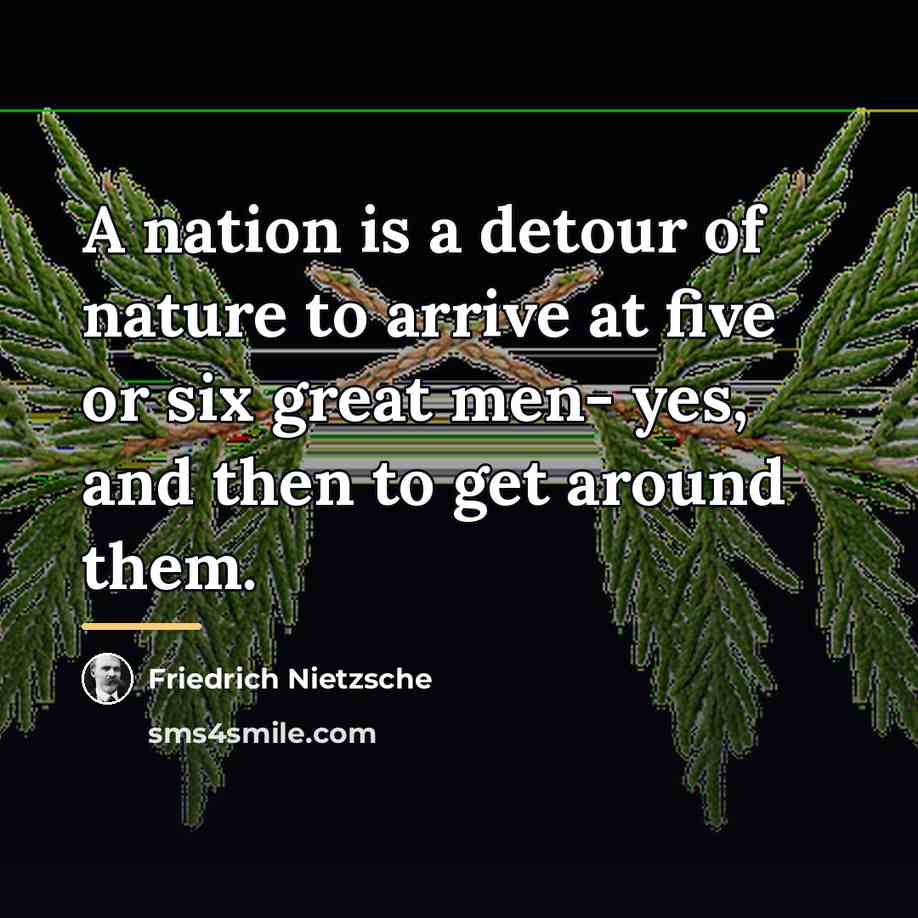 “A nation is a detour of nature to arrive at…” quote by Friedrich Nietzsche