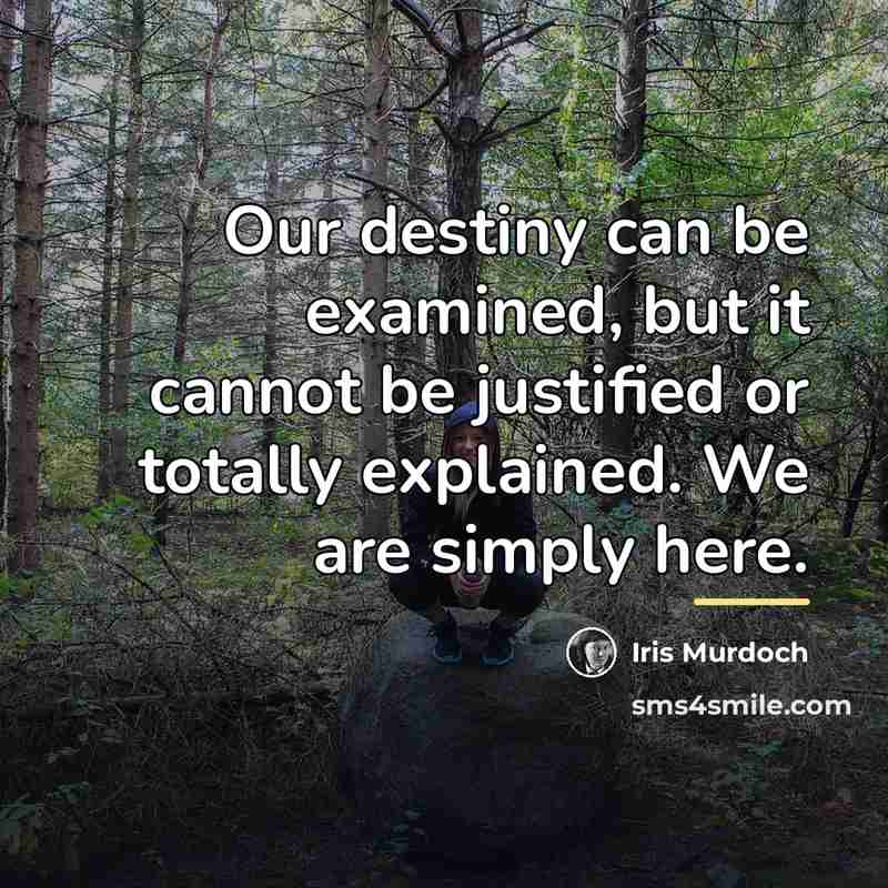 “Our destiny can be examined, but it cannot be justified…” quote by Iris Murdoch