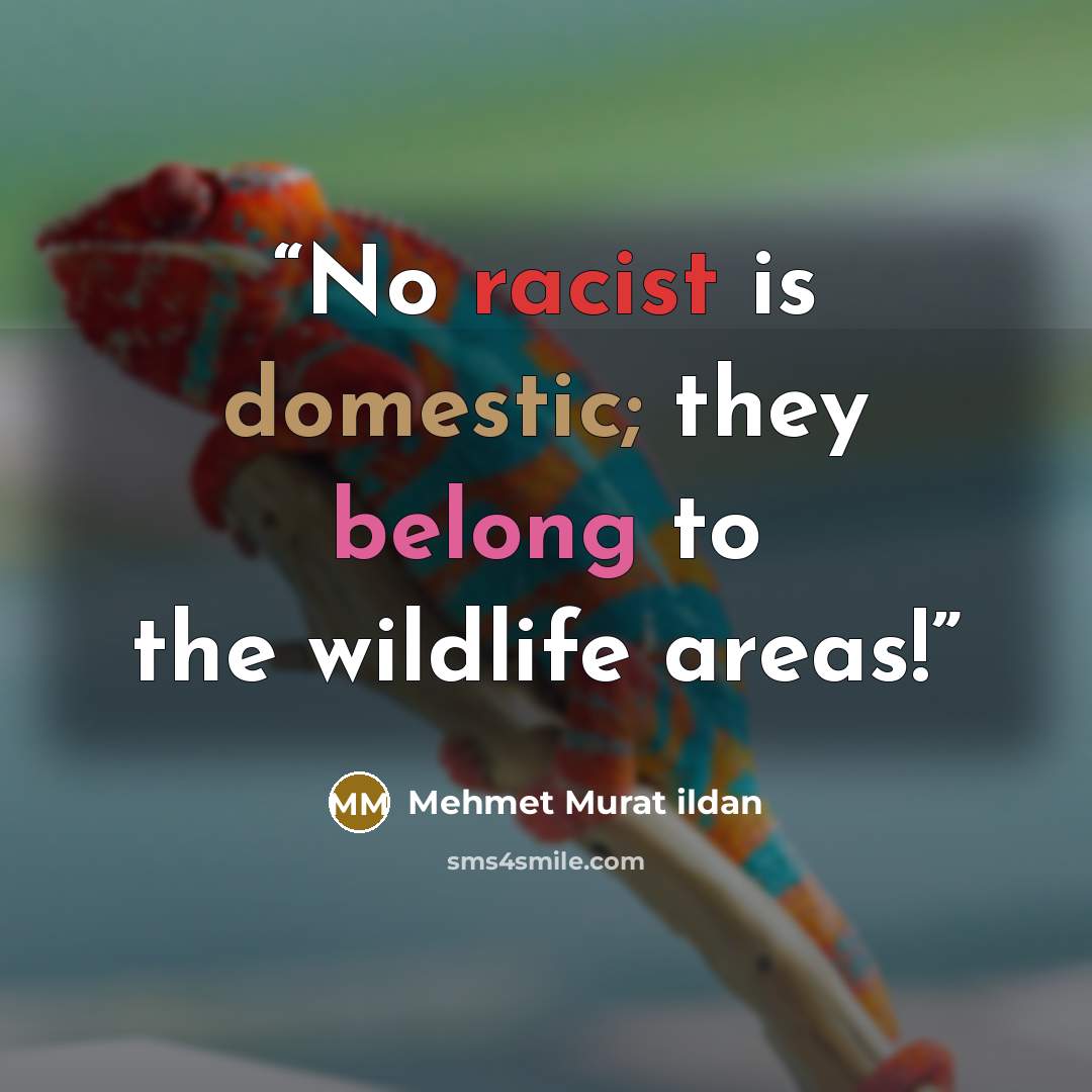 “No racist is domestic; they belong to the wildlife areas!” quote by Mehmet Murat ildan