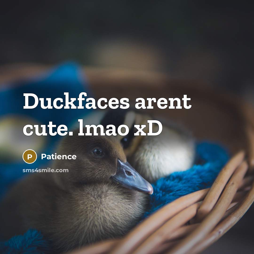 “Duckfaces arent cute. lmao xD” quote by Patience