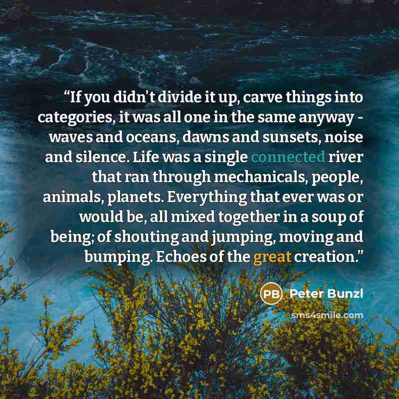 “If you didn't divide it up, carve things into categories, it was all one in the same anyway - waves and oceans, dawns and sunsets, noise and silence. Life was a single connected river that ran through mechanicals, people, animals, planets. Everything that ever was or would be, all mixed together…” quote by Peter Bunzl