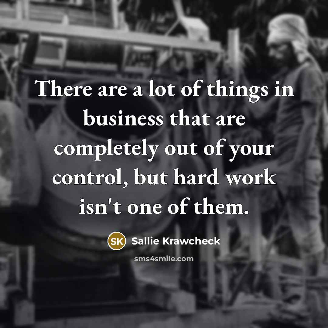 “There are a lot of things in business that are…” quote by Sallie Krawcheck