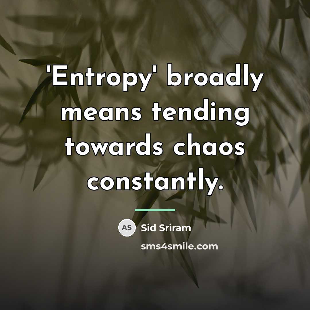 “'Entropy' broadly means tending towards chaos constantly.…” quote by Sid Sriram