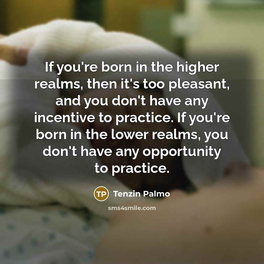 “If you're born in the higher realms, then it's too…” quote by Tenzin Palmo