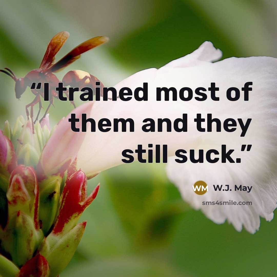 “I trained most of them and they still suck.” quote by W.J. May