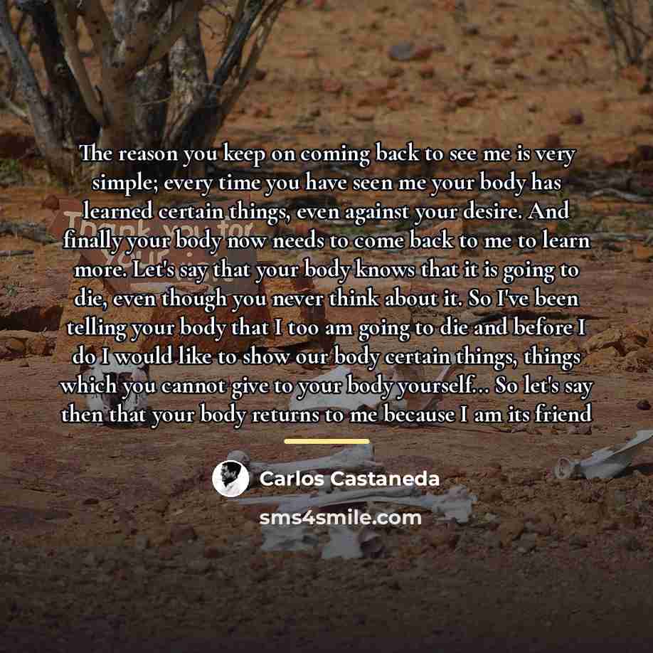 “The reason you keep on coming back to see me…” quote by Carlos Castaneda