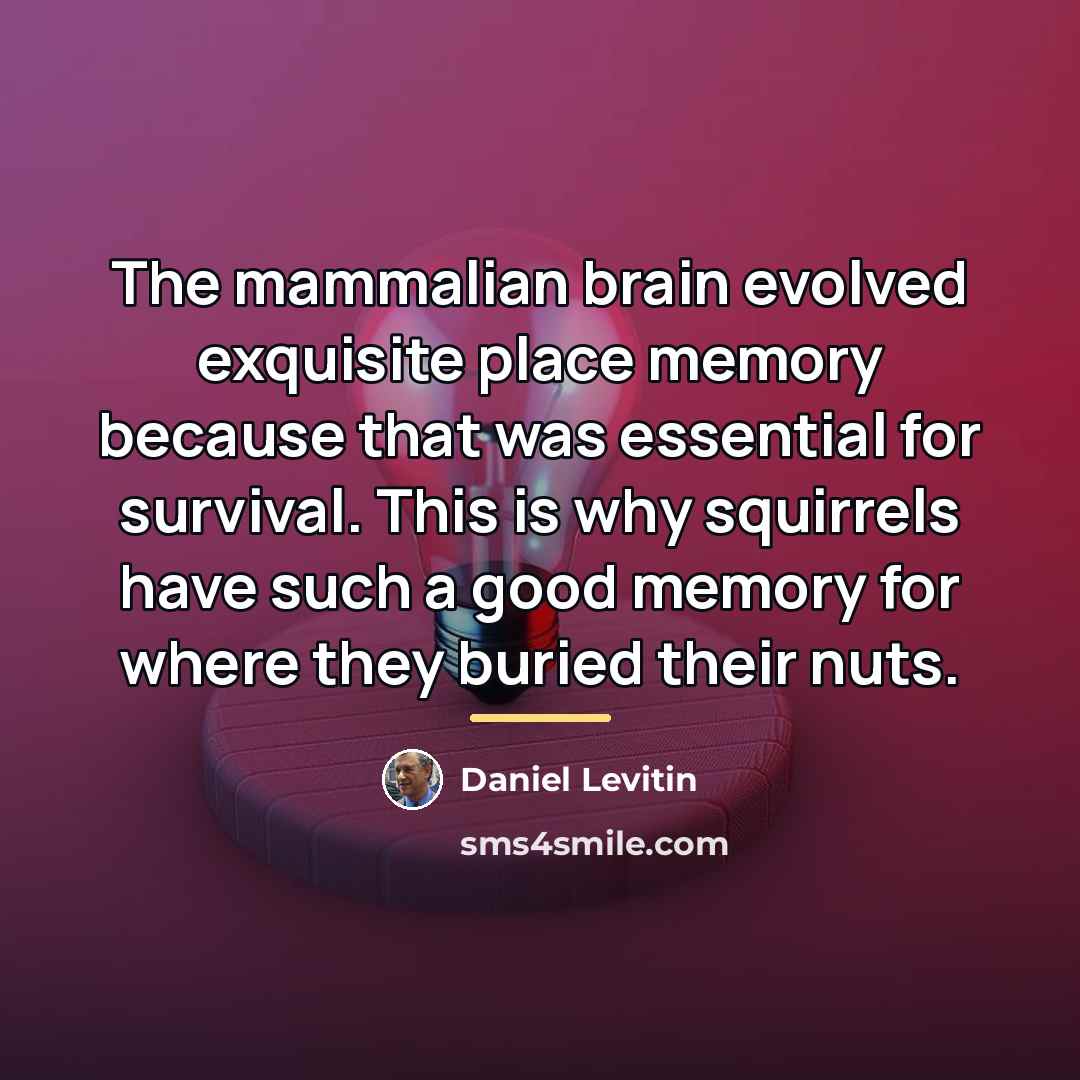 “The mammalian brain evolved exquisite place memory because that was…” quote by Daniel Levitin