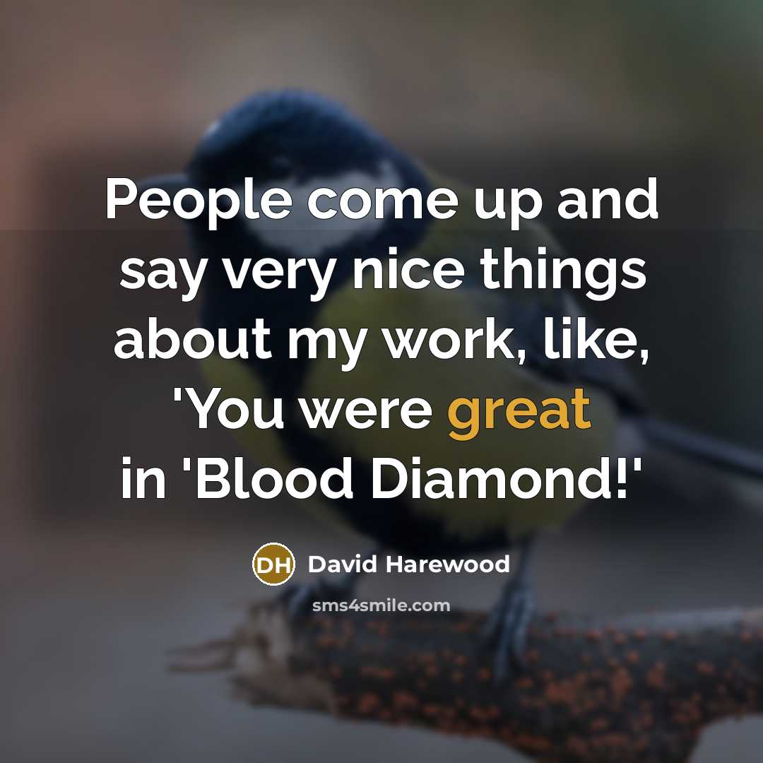 “People come up and say very nice things about my…” quote by David Harewood