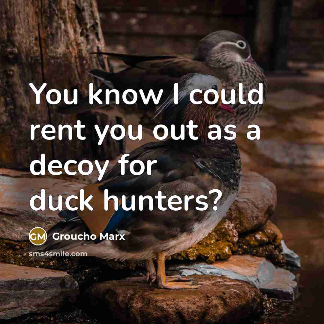 “You know I could rent you out as a decoy…” quote by Groucho Marx