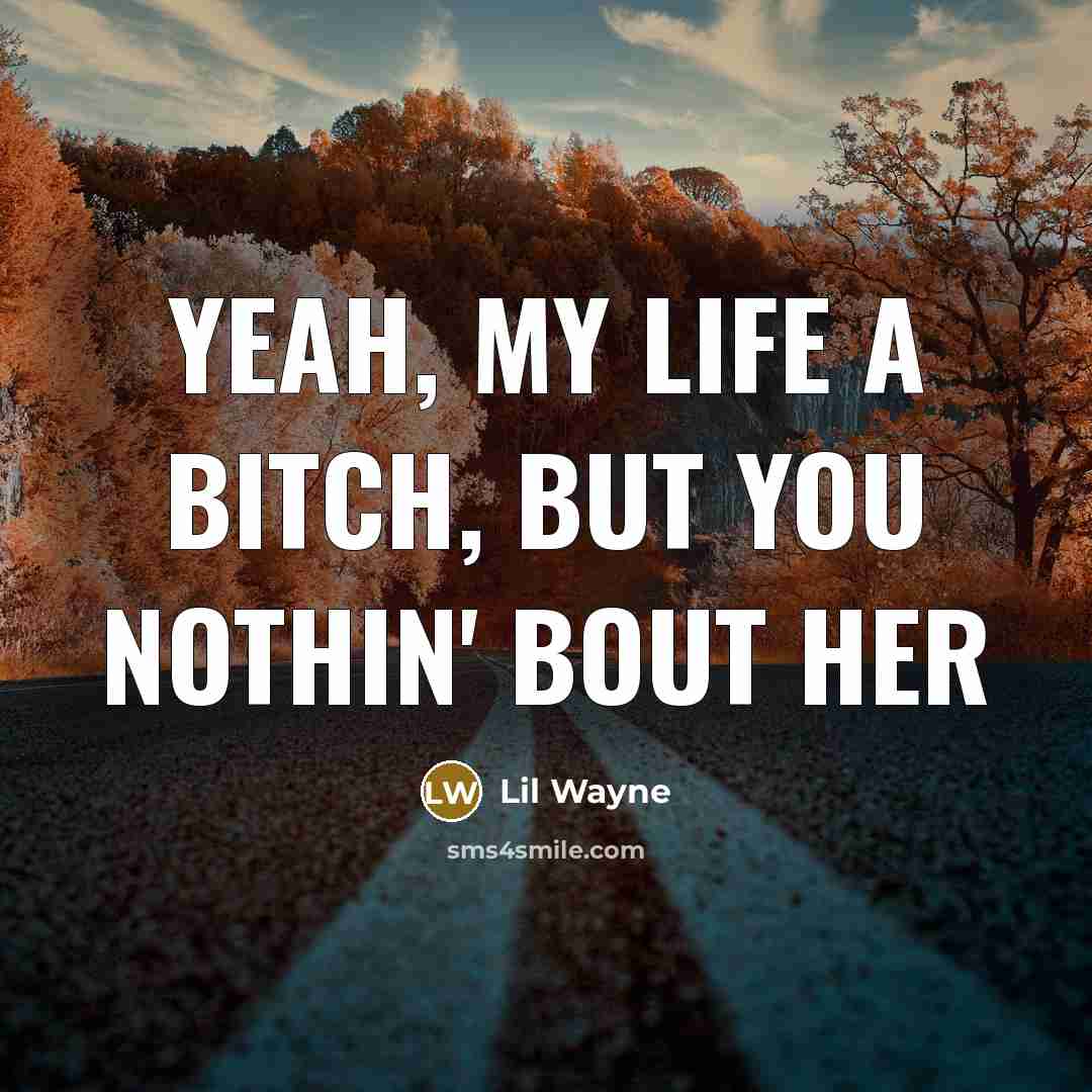 “Yeah, my life a bitch, but you nothin' bout her…” quote by Lil Wayne