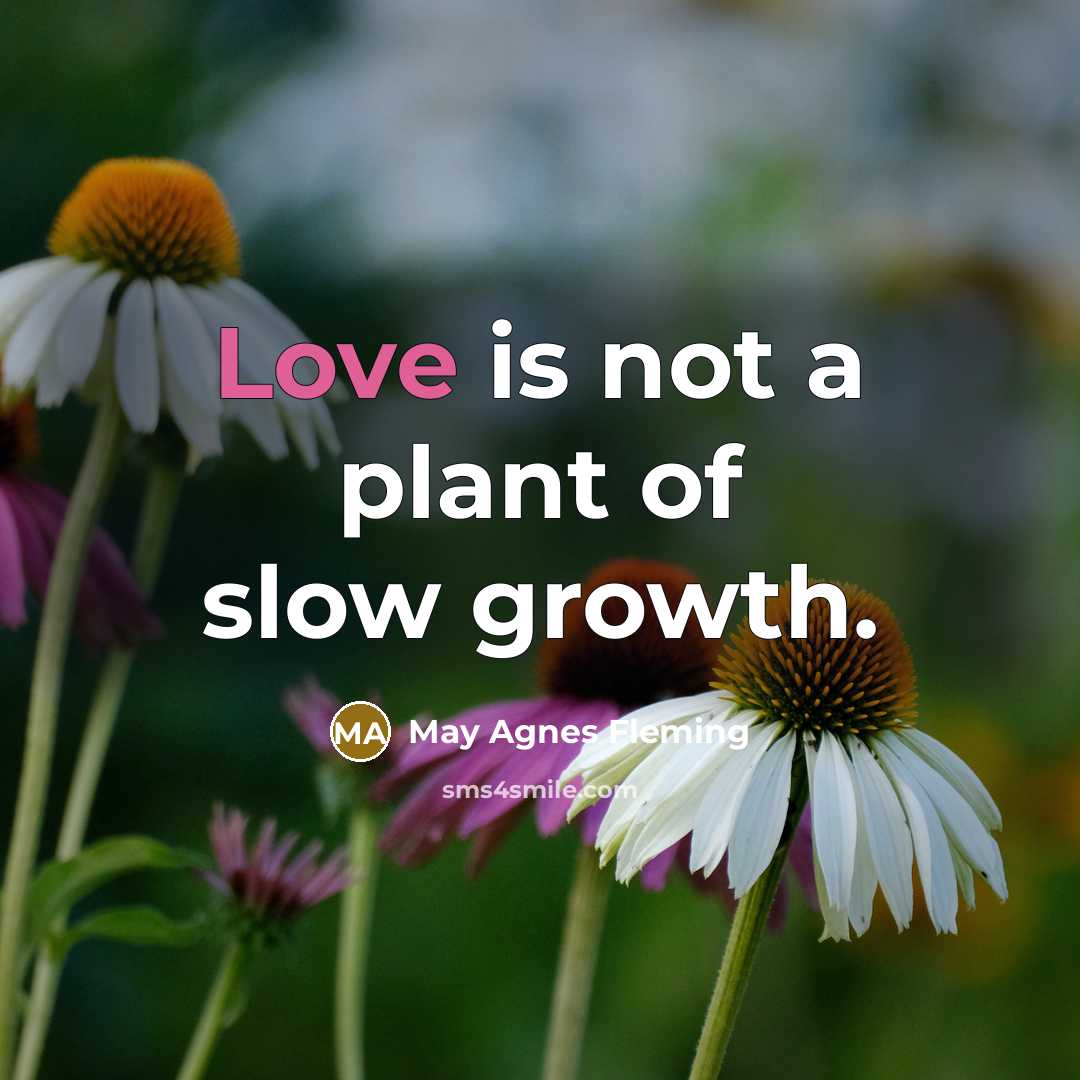 “Love is not a plant of slow growth.…” quote by May Agnes Fleming