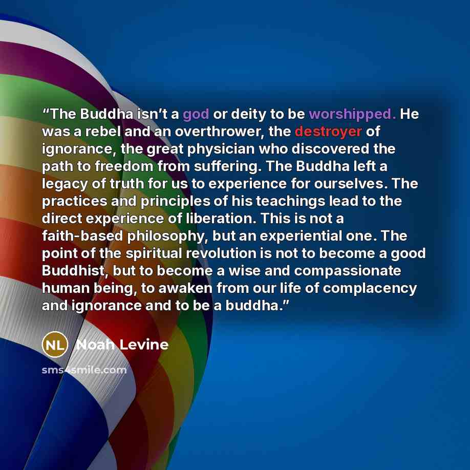 “The Buddha isn’t a god or deity to be worshipped. He was a rebel and an overthrower, the destroyer of ignorance, the great physician who discovered the path to freedom from suffering. The Buddha left a legacy of truth for us to experience for ourselves. The practices and principles of his…” quote by Noah Levine