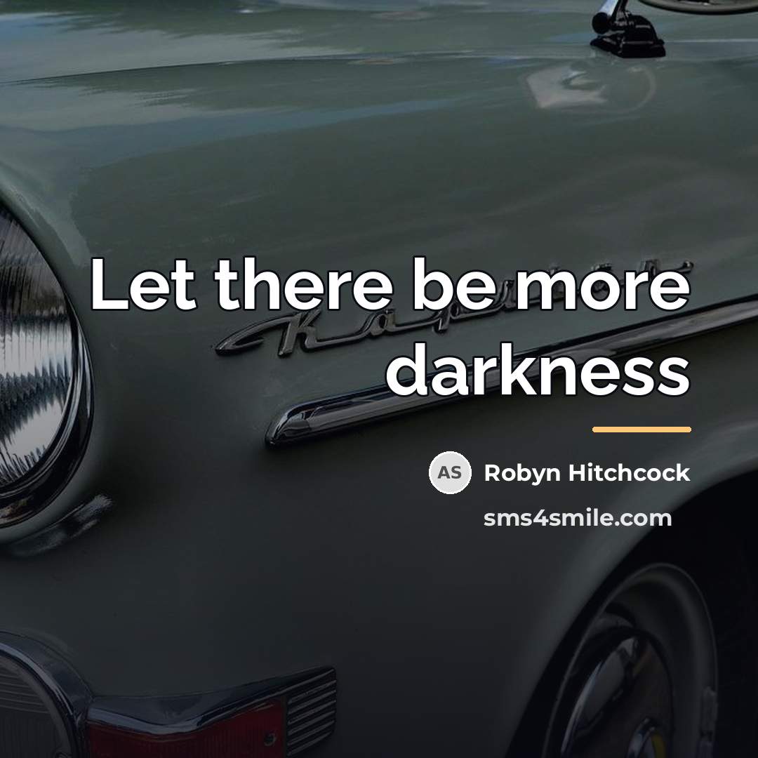“Let there be more darkness…” quote by Robyn Hitchcock
