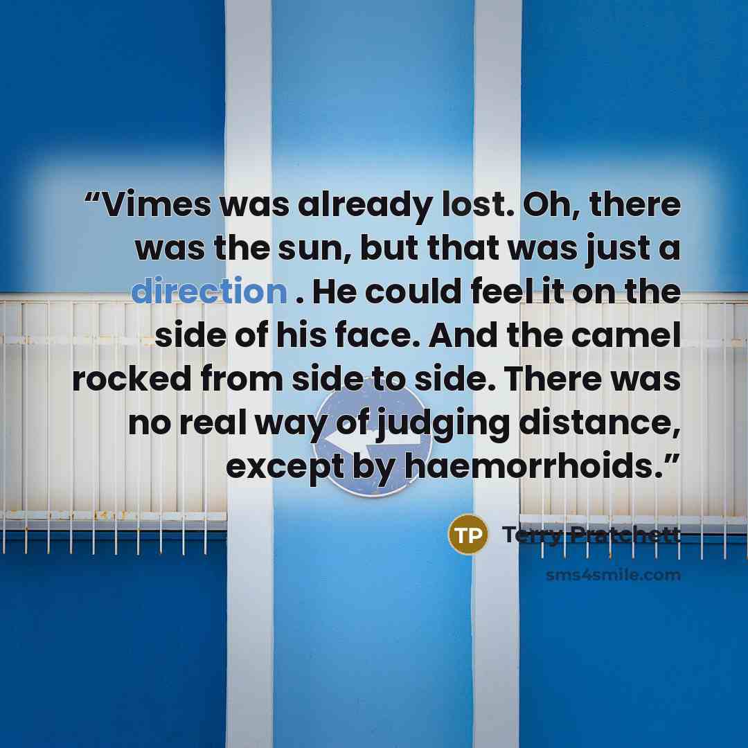 “Vimes was already lost. Oh, there was the sun, but that was just a direction . He could feel it on the side of his face. And the camel rocked from side to side. There was no real way of judging distance, except by haemorrhoids.” quote by Terry Pratchett