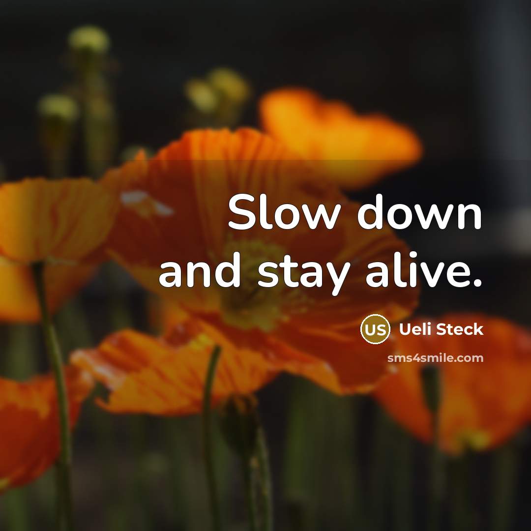 “Slow down and stay alive.…” quote by Ueli Steck