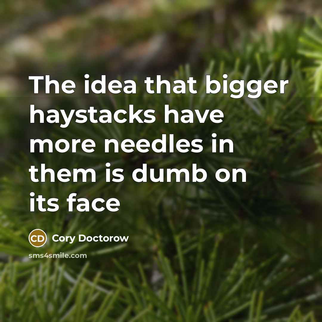 “The idea that bigger haystacks have more needles in them…” quote by Cory Doctorow