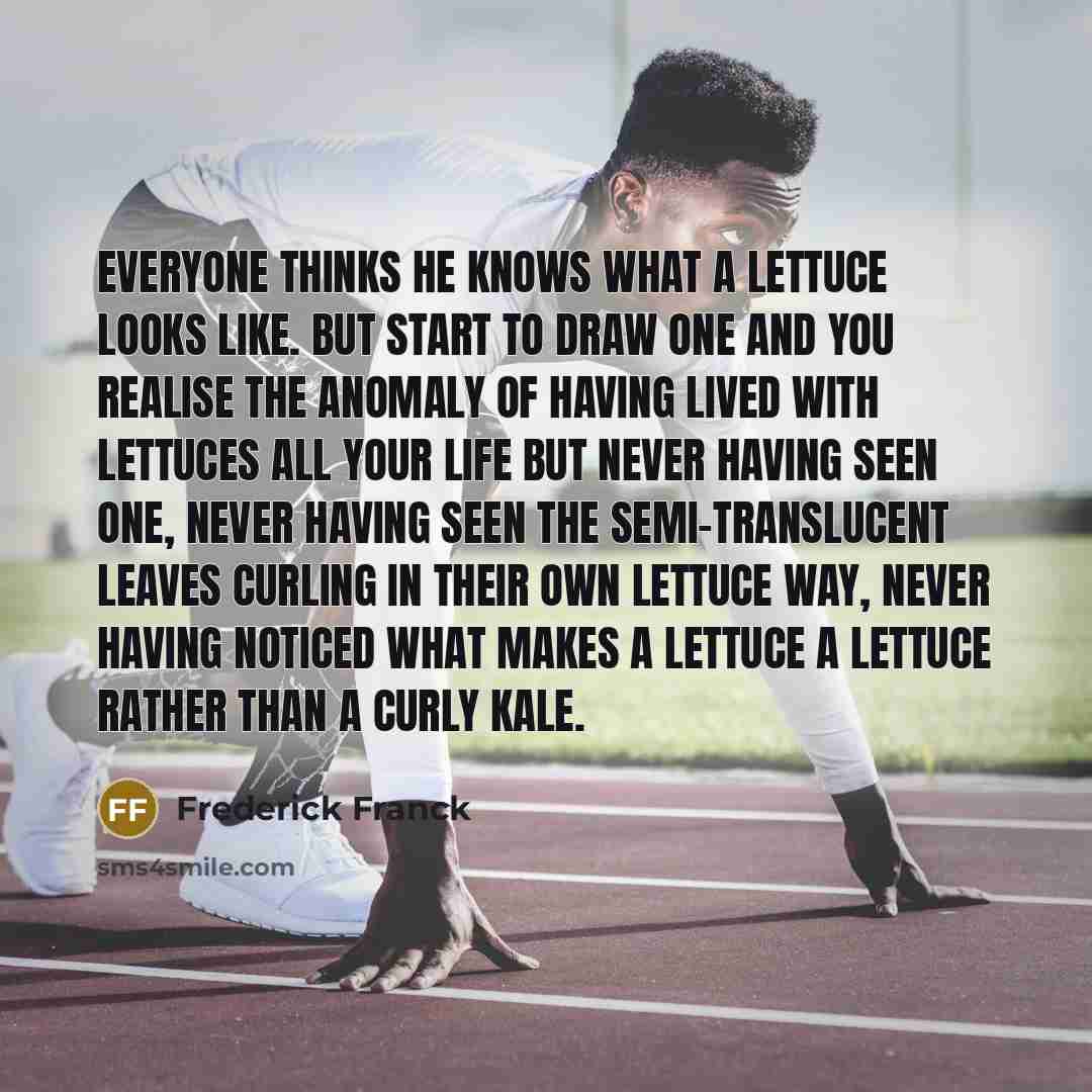 “Everyone thinks he knows what a lettuce looks like. But…” quote by Frederick Franck