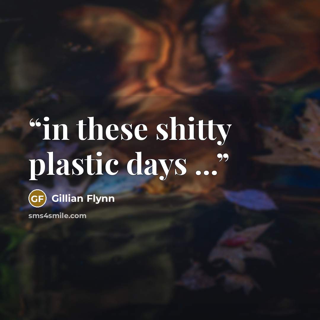 “in these shitty plastic days ...” quote by Gillian Flynn