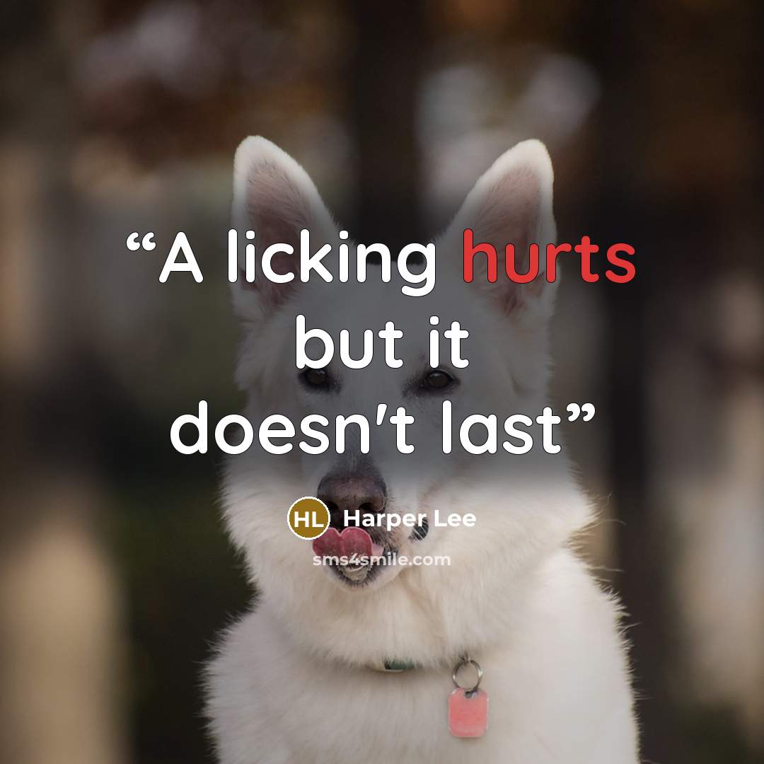 “A licking hurts but it doesn't last” quote by Harper Lee