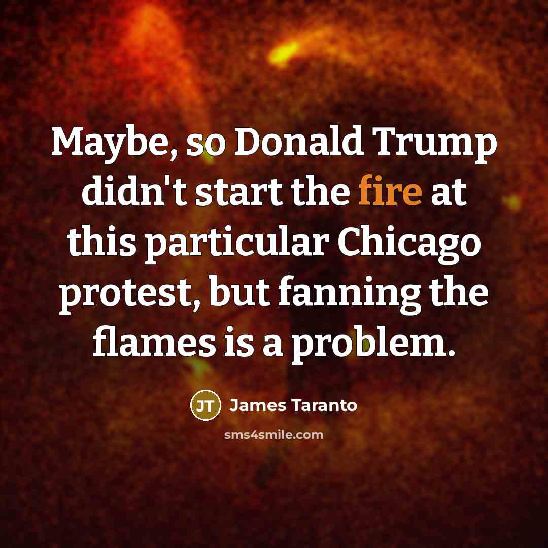 “Maybe, so Donald Trump didn't start the fire at this…” quote by James Taranto