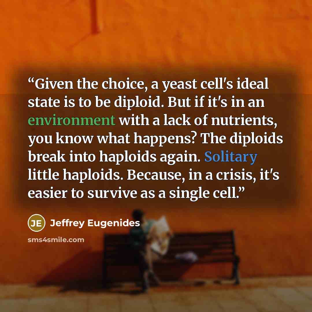 “Given the choice, a yeast cell's ideal state is to be diploid. But if it's in an environment with a lack of nutrients, you know what happens? The diploids break into haploids again. Solitary little haploids. Because, in a crisis, it's easier to survive as a single cell.” quote by Jeffrey Eugenides
