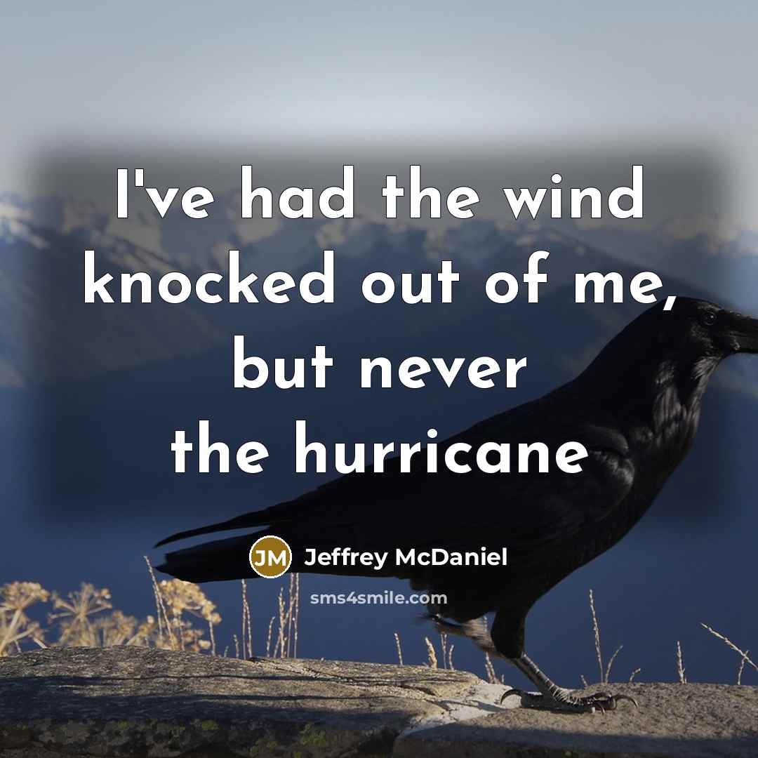 “I've had the wind knocked out of me, but never the hurricane” quote by Jeffrey McDaniel