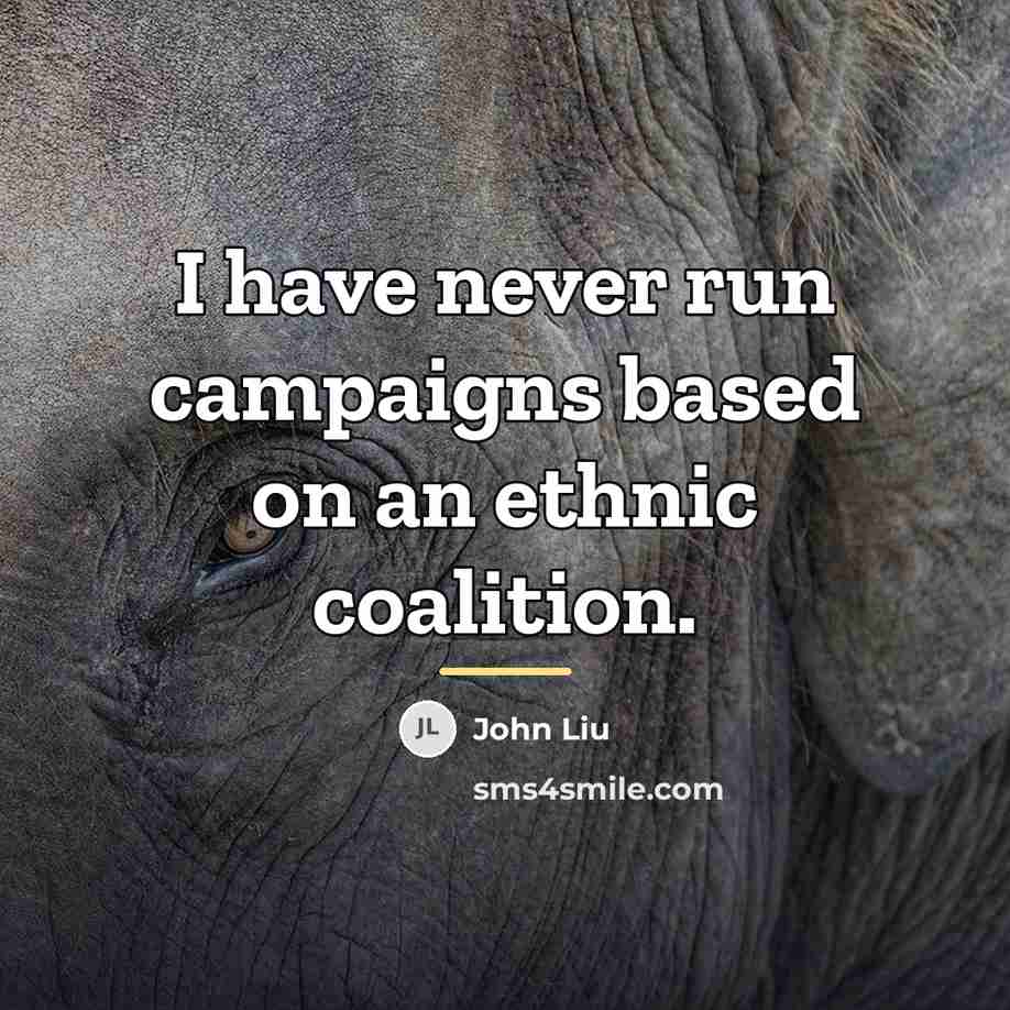 “I have never run campaigns based on an ethnic coalition.…” quote by John Liu